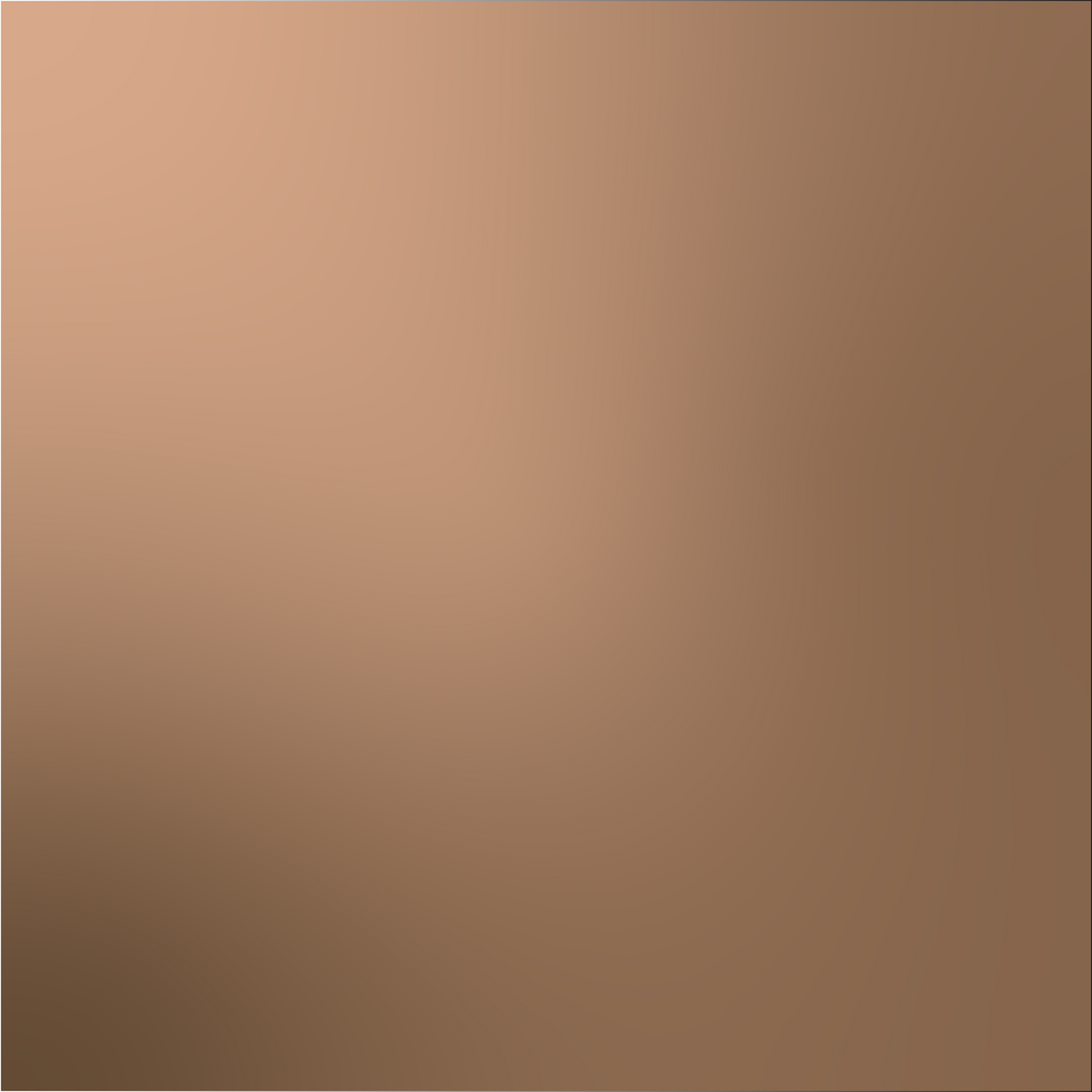 Nude Brown Gradient 03